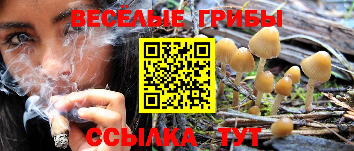 Псилоцибиновые грибы мицелий Михайловск