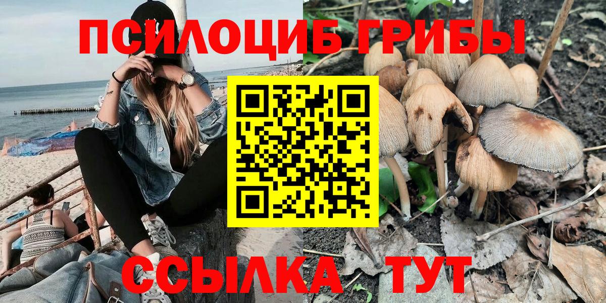 Михайловск  Галлюциногенные грибы мухоморы  Вход с VPN 